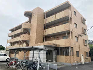 ポラリスの画像