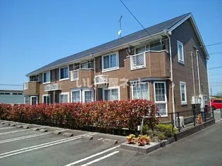 スクエアコートⅢの画像