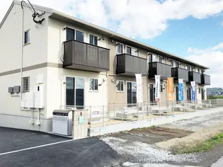 カタルパトモダの画像