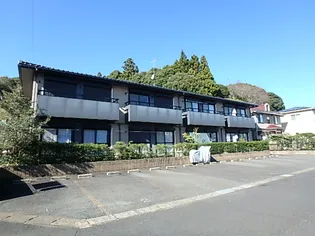 ラディアンの画像