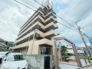 マルベリーヒルズの画像