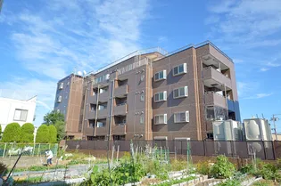 ピコット5【2階】の外観