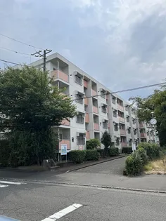 厚木そりだハイツ【2階】の外観