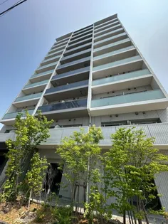 LIVE CASA 葵吉野町の画像