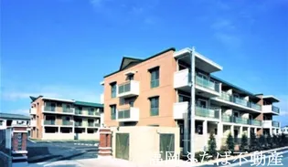 ソシア ハイネスの画像