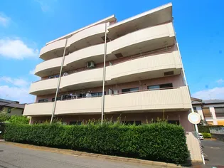 ペルデュールミキの画像