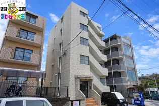 ルネス シーボルトの画像