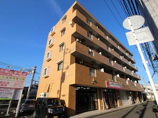 サングランの画像