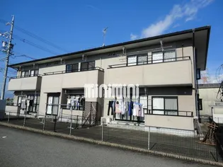 HAPPY STAR MATAMARUの画像