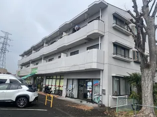 グレイスヤギワの画像