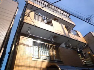 キャメル東砂の画像