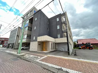SUN NATULUXの画像