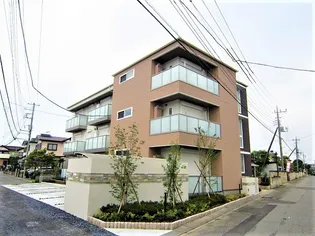 セントリビエの画像
