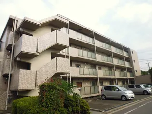 マンショングレイスの画像