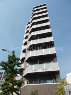 アルファコート王子2の画像