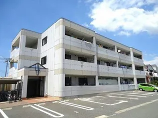 PRIMーROSEの画像