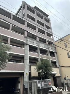 カメリアライジング21麦野の画像