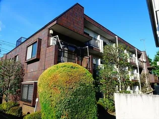 ラフォーレ白山-定期借家R10年2月末迄-【3階】の外観