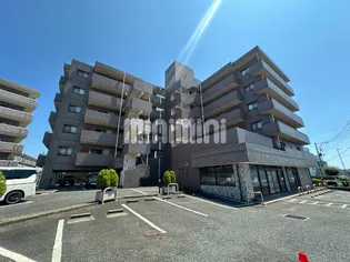 セレーノ湘南の画像