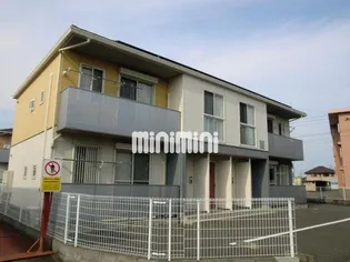 ベリーT Aの画像