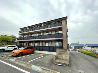 プリマベーラの画像