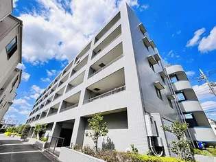 エコタワーバオバブの画像