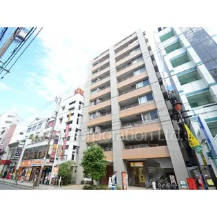 ヒルズ国立の画像