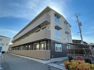 ジンミーの画像