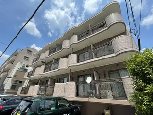 シティサンフラワーの画像