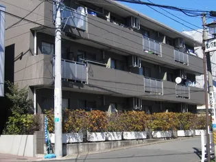 サニーヒルナカイの画像