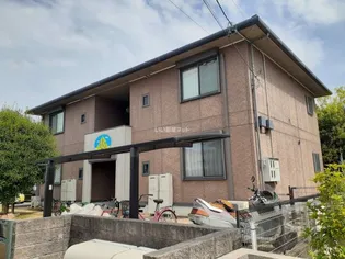 トトロの木の画像