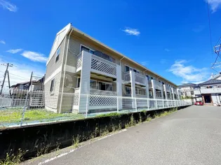 パインステージの画像