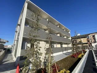 グレイスの画像