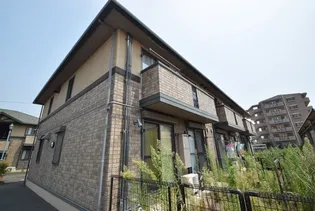 アムールIIIの画像