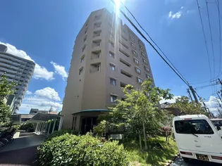 ラフィール心音の画像