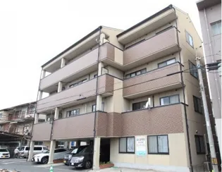 ステラマリスの画像