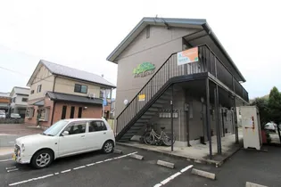 EVER GREENの画像