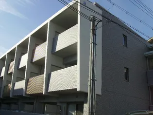 サン フローリッシュの画像