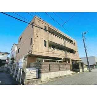 フォンテーヌ八重咲の画像