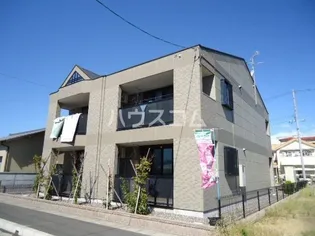 ビギンの画像