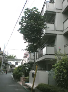 コーポ小山の画像