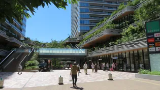 ホワイトキャッスル小金井【5階】の周辺