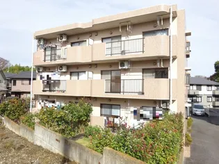 グレイスコート V【3階】の外観