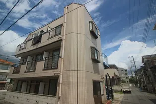 バウ猫実の画像