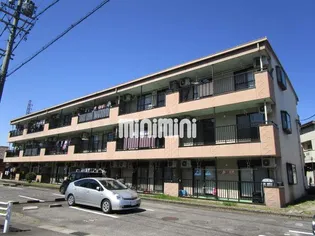 ノーザンピアの画像