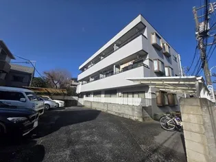 ローラ中央の画像