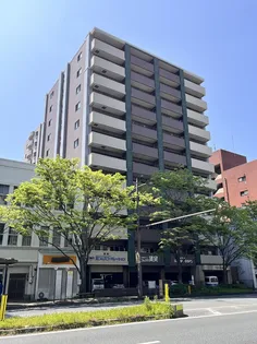 ウエルス細江の画像