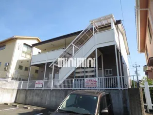 エルディムモモの画像