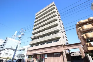 YELLSTAGE楠木IIの画像