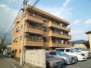 メゾンラッフルの画像